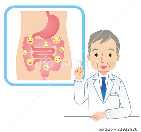 腸 善玉菌 医師の説明 腸 善玉菌 医師の説明 23933820