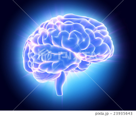3D illustration of bright blue brain. 23935643