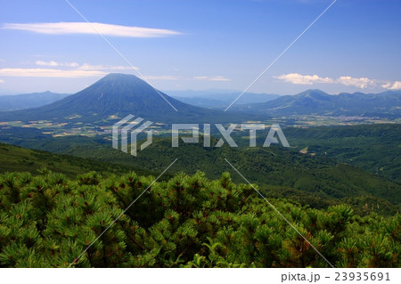 真夏の無意根山から見る羊蹄山とニセコ連峰 23935691