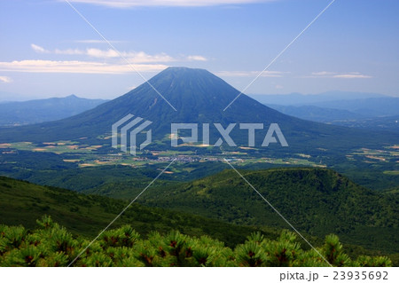 真夏の無意根山から見る羊蹄山 23935692