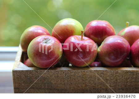 fresh red apples in wooden box 23936470