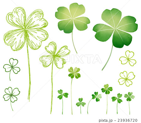 クローバー 23936720