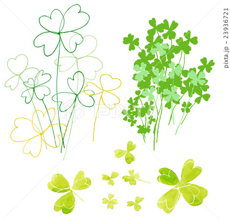 クローバー 23936721