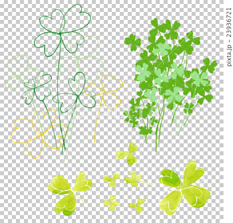 クローバー 23936721