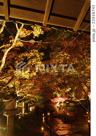 円通院鮮やかな晩秋色鮮やかな雨のライトアップ 23938745