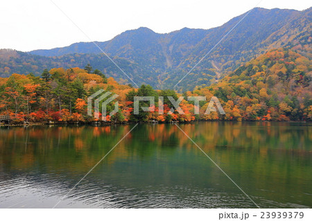 日光_紅葉 23939379