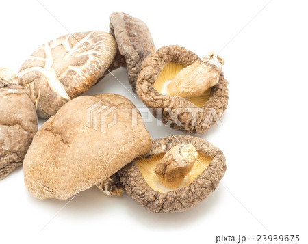 乾燥椎茸 23939675