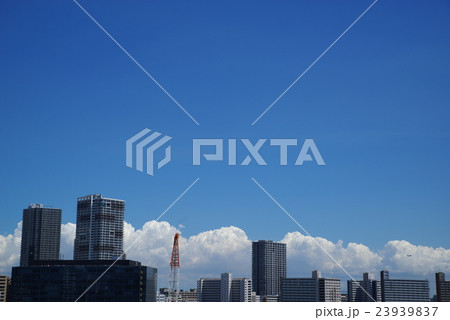 豊洲・東雲 タワーマンションと夏の雲 豊洲・東雲 タワーマンションと夏の雲 23939837