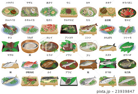海産物いろいろ2名称 23939847