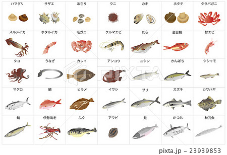 海産物いろいろ3枠名称 23939853
