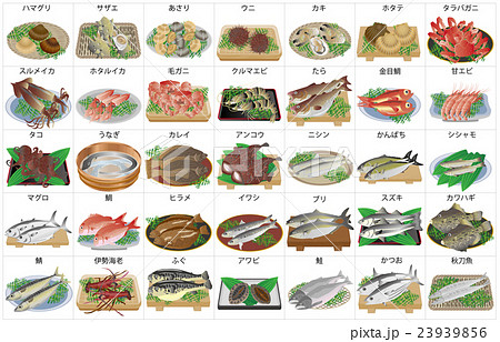 海産物いろいろ枠名称 23939856
