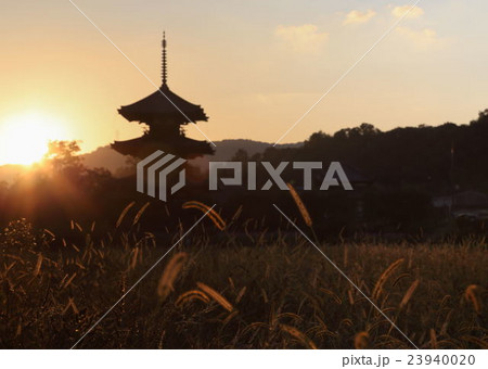 法起寺夕景 法起寺夕景 23940020