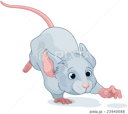 Wonderland Mouse 23940088