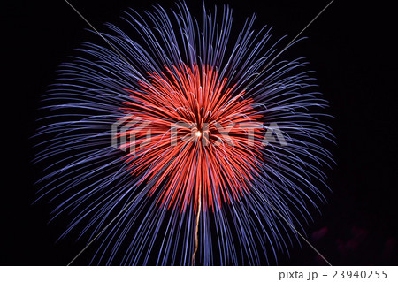 青梅市納涼花火大会 青梅市納涼花火大会 23940255