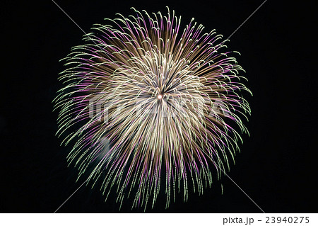 青梅市納涼花火大会 青梅市納涼花火大会 23940275