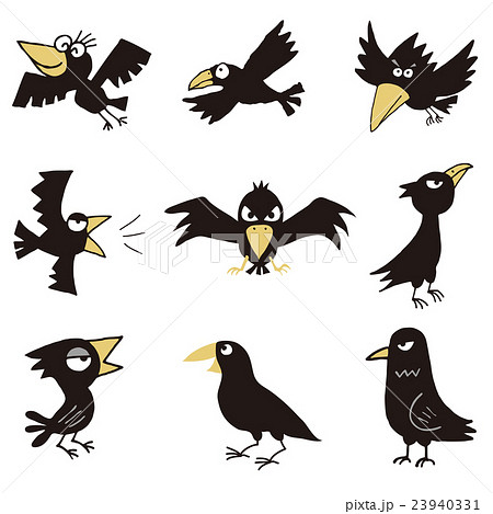 Crow Stock Illustration