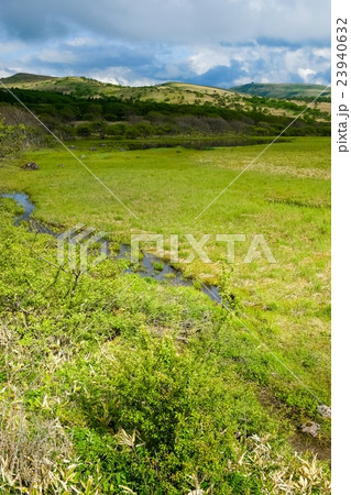 八島ヶ原湿原 (138) 23940632