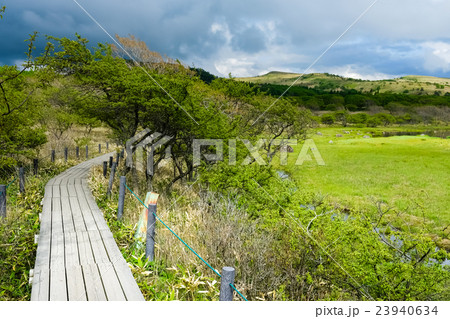 八島ヶ原湿原 (140) 23940634