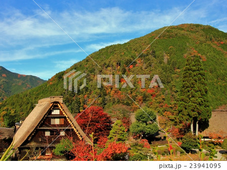 紅葉の合掌村 紅葉の合掌村 23941095