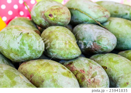 Plenty of mango at the market for sell Plenty of mango at the market for sell 23941835