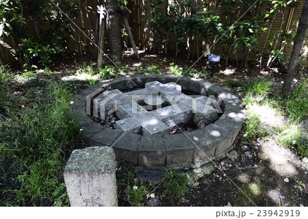 清水谷公園 井戸 清水谷公園 井戸 23942919