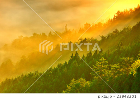 夜明け 23943201