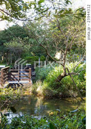 Fumin ecological park 23944312