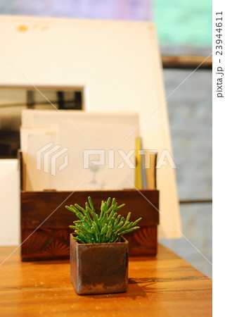 Ji Flower 23944611