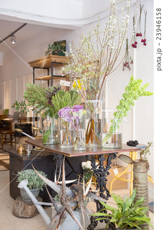 Fujin tree coffee shop Fujin tree coffee shop 23946158