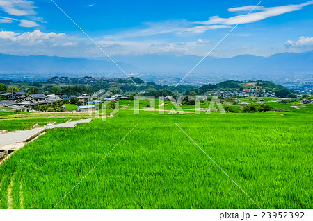 初夏の農村風景 (170) 初夏の農村風景 (170) 23952392