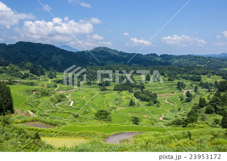 星峠の棚田 23953172