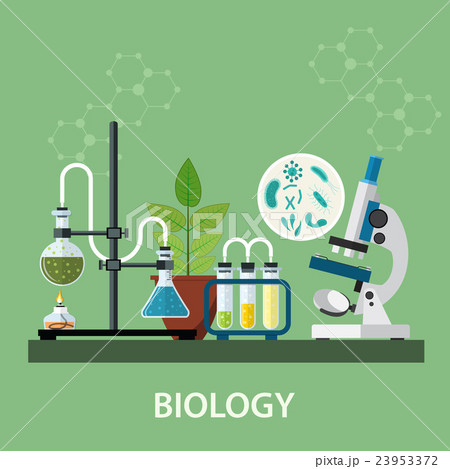 Biology laboratory workspace Biology laboratory workspace 23953372
