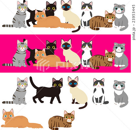 様々な種類の猫のイラストセットのイラスト素材