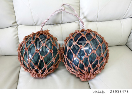 ビンダマ 23953473