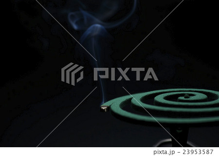 火のついた蚊取り線香 火のついた蚊取り線香 23953587