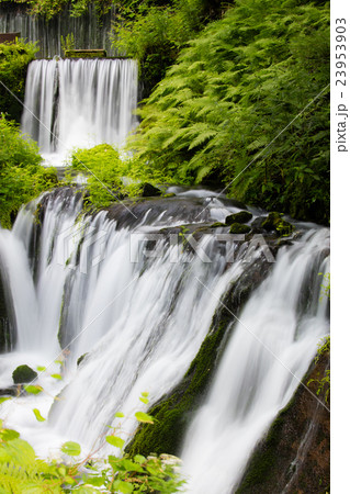白糸の滝 23953903