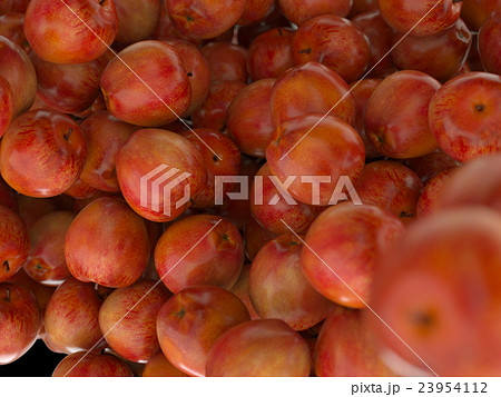 Many Red ripe apples Many Red ripe apples 23954112