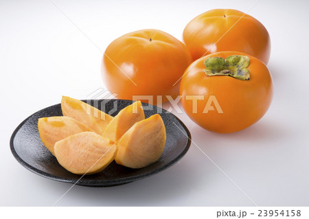 柿（富有柿） 23954158