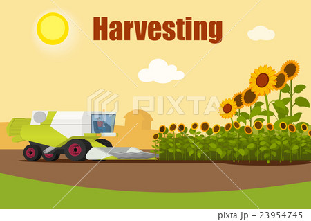Modern combine harvester tractor working a 23954745