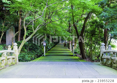 白山比咩神社参道と橋 白山比咩神社参道と橋 23955228