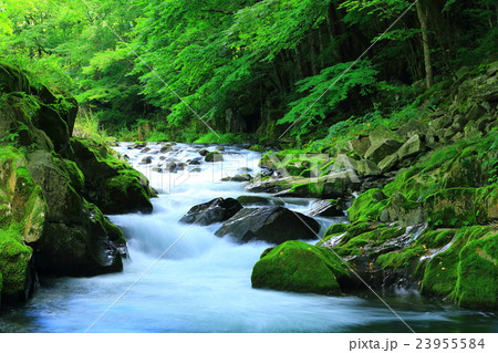 岩手県住田町 気仙川の写真素材 [23955584] - PIXTA