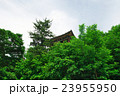 緑の木々に囲まれた韓国の歴史的な城郭 23955950