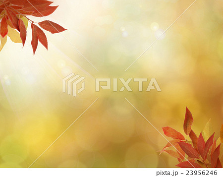 ナチュラル背景 ナチュラル背景 23956246