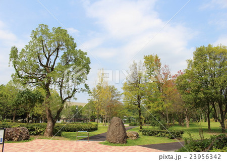 永山北公園 永山北公園 23956342