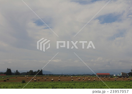 牧草ロール 牧草ロール 23957057