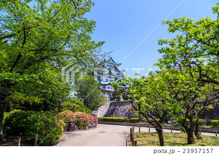 新緑の季節 名古屋城 新緑の季節 名古屋城 23957157