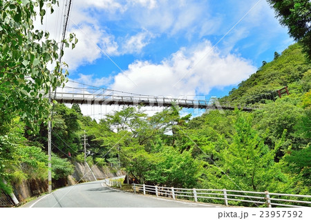 大江町の新童子橋 大江町の新童子橋 23957592