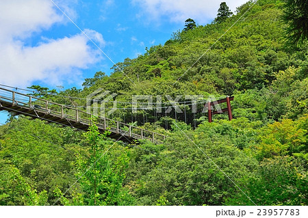 大江山の新童子橋 大江山の新童子橋 23957783