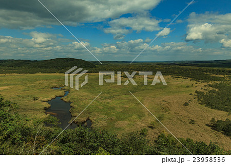 釧路湿原(コッタロ湿原) 釧路湿原(コッタロ湿原) 23958536