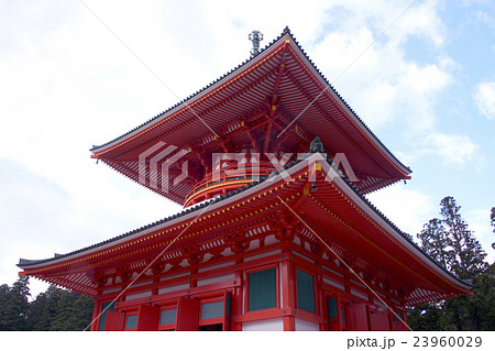 根本大塔 高野山 根本大塔 高野山 23960029